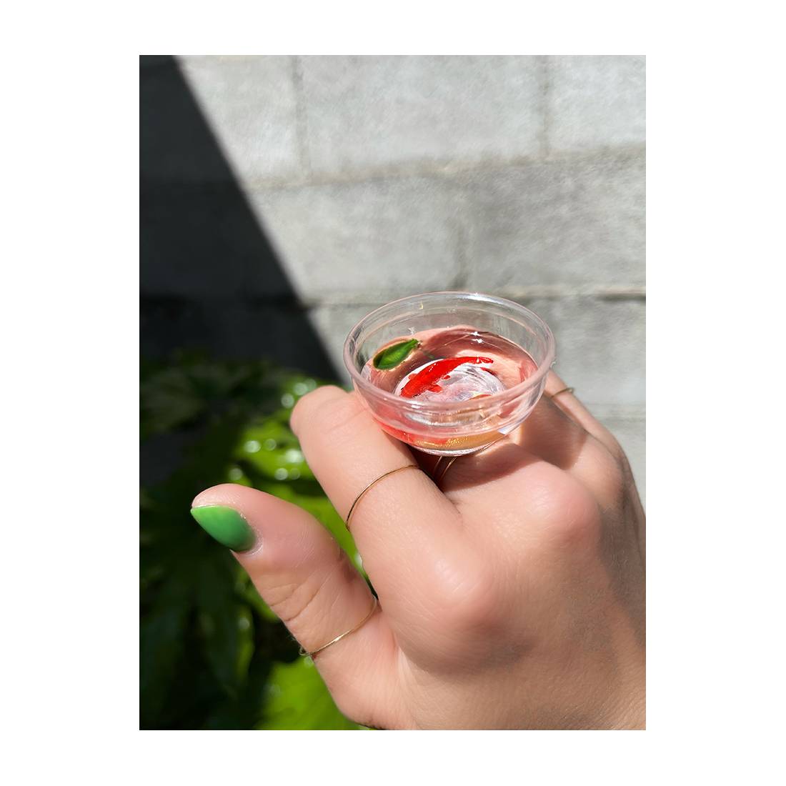ANELLO PESCE NEW